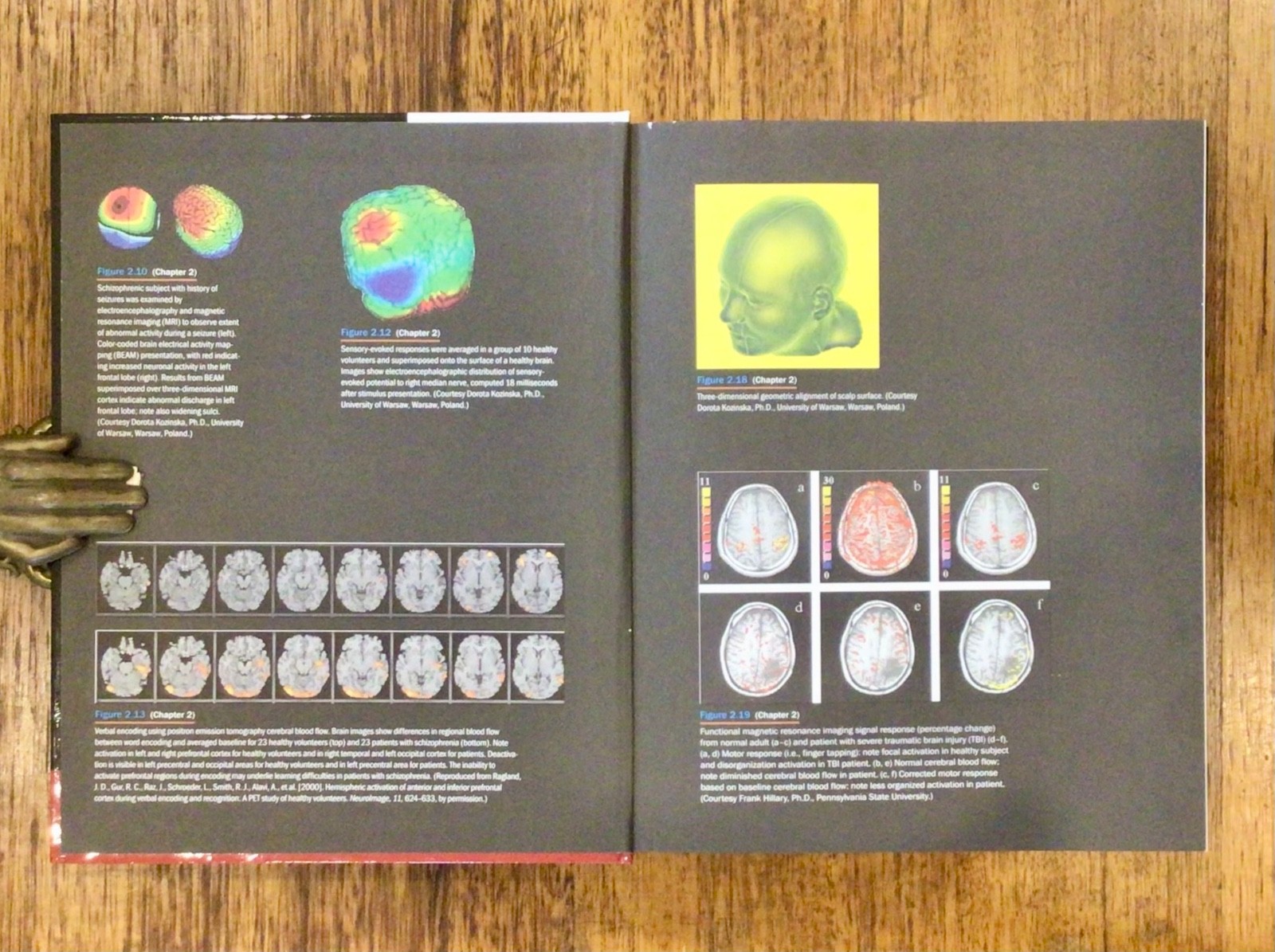 PRINCIPLES of NEUROPSYCHOLOGY, 2nd Ed. Zillmer, Spiers & Culbertson. LIKE NEW HB