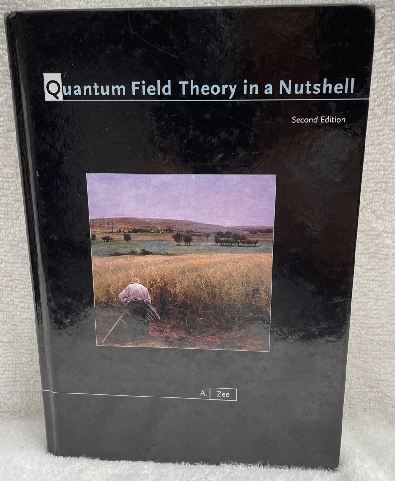 Quantum Field Theory in a Nutshell : Second Edition Hardcover –A. Zee B53