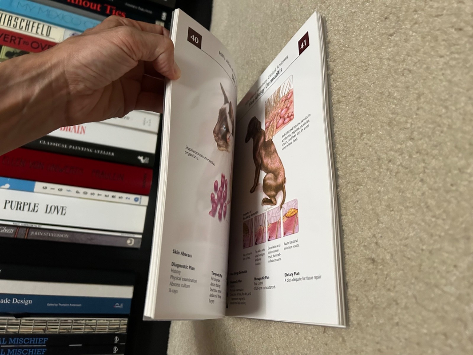 Hill’s Atlas of Veterinary Clinical Anatomy Hill’s Pet Nutrition Inc SPIRAL BOOK