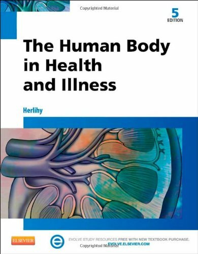 Human Body In Health and Illness by Barbara Herlihy