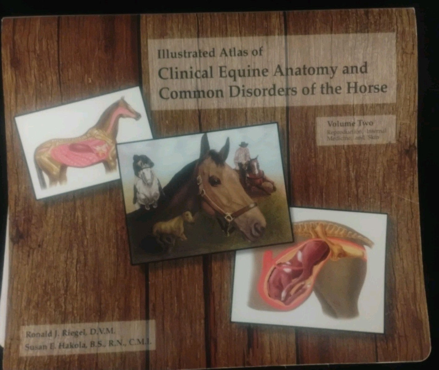 Illustrated Atlas of Clinical Equine Anatomy and Common Disorders – Vol 1 & 2