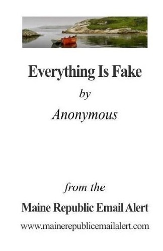 David E Robinson Everything Is Fake (Paperback)