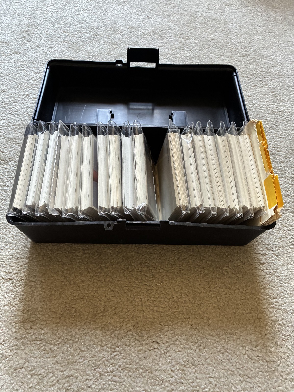 Pro Ed Library of Vocabulary Photographs speech pathology therapy w storage box