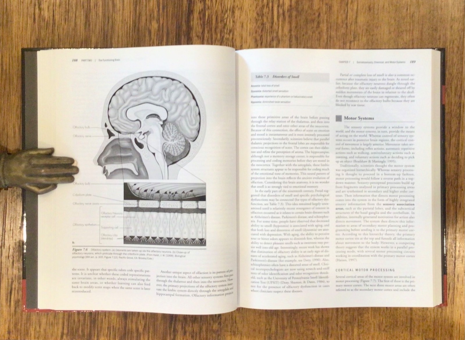 PRINCIPLES of NEUROPSYCHOLOGY, 2nd Ed. Zillmer, Spiers & Culbertson. LIKE NEW HB