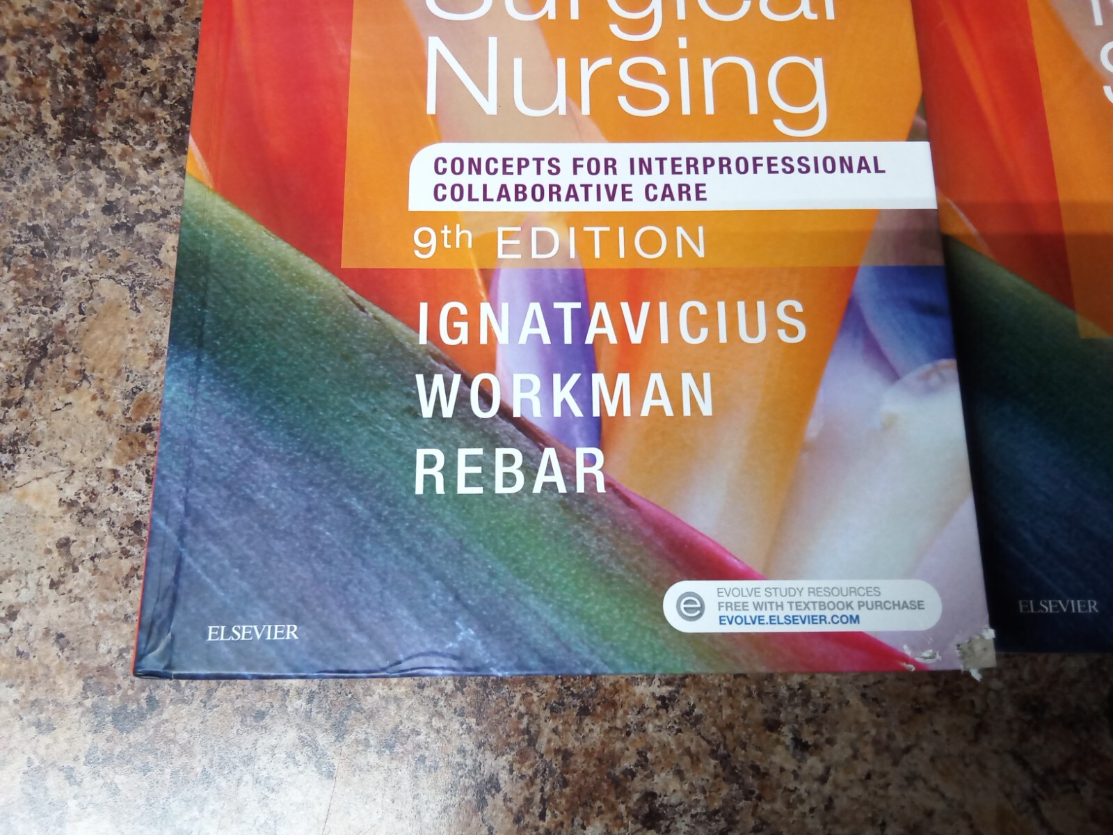 Medical-Surgical Nursing Concepts for Interprofessional Collaborative Care 9th