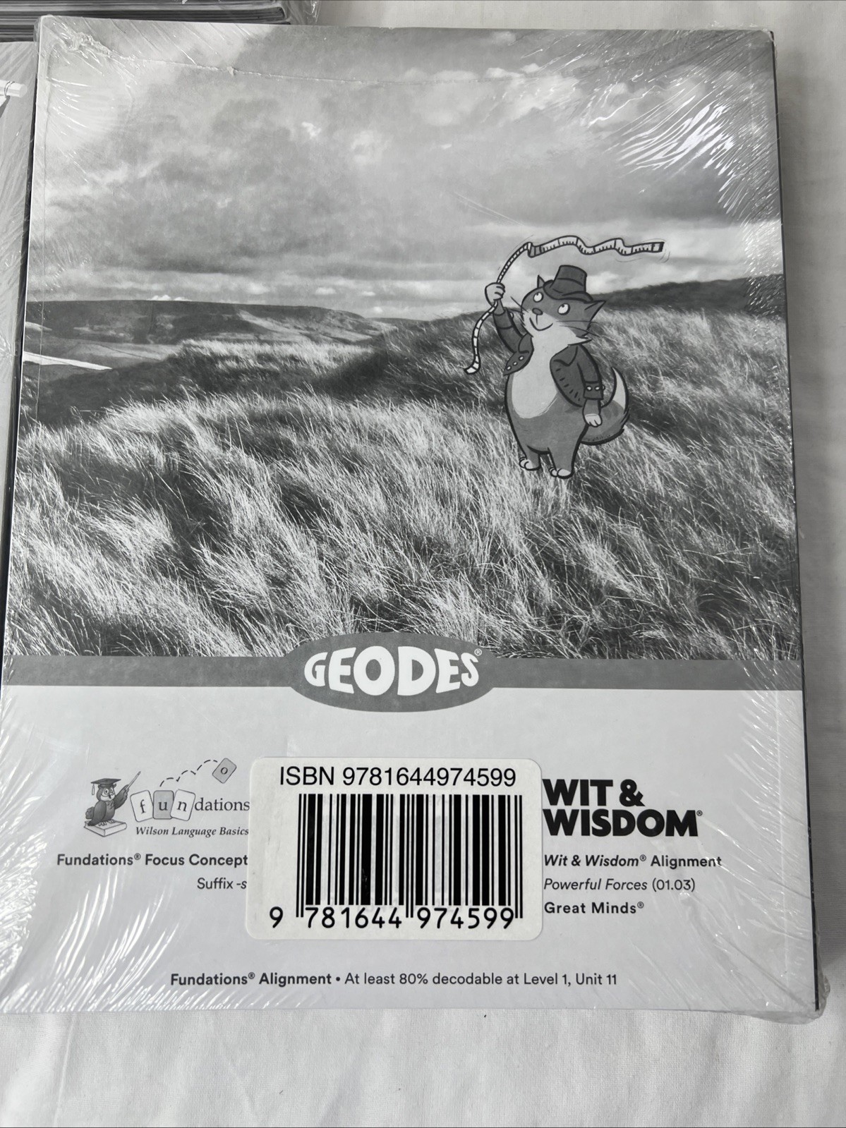 My Geodes Module 3 Sets 2, 3, & 4 Lot Of 3 Sealed Packs Of 5 (15 Books Total)