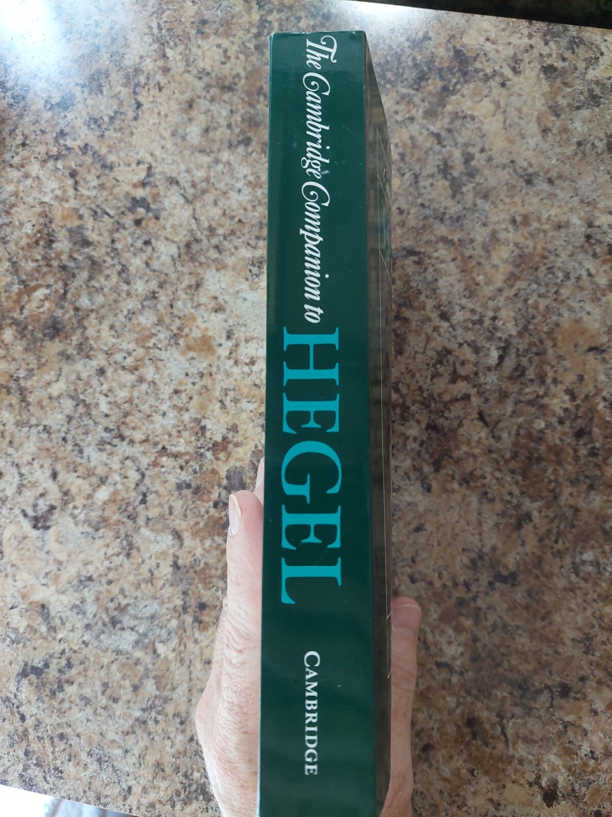 THE CAMBRIDGE COMPANION TO HEGEL By Frederick C. Beiser 518 Pages