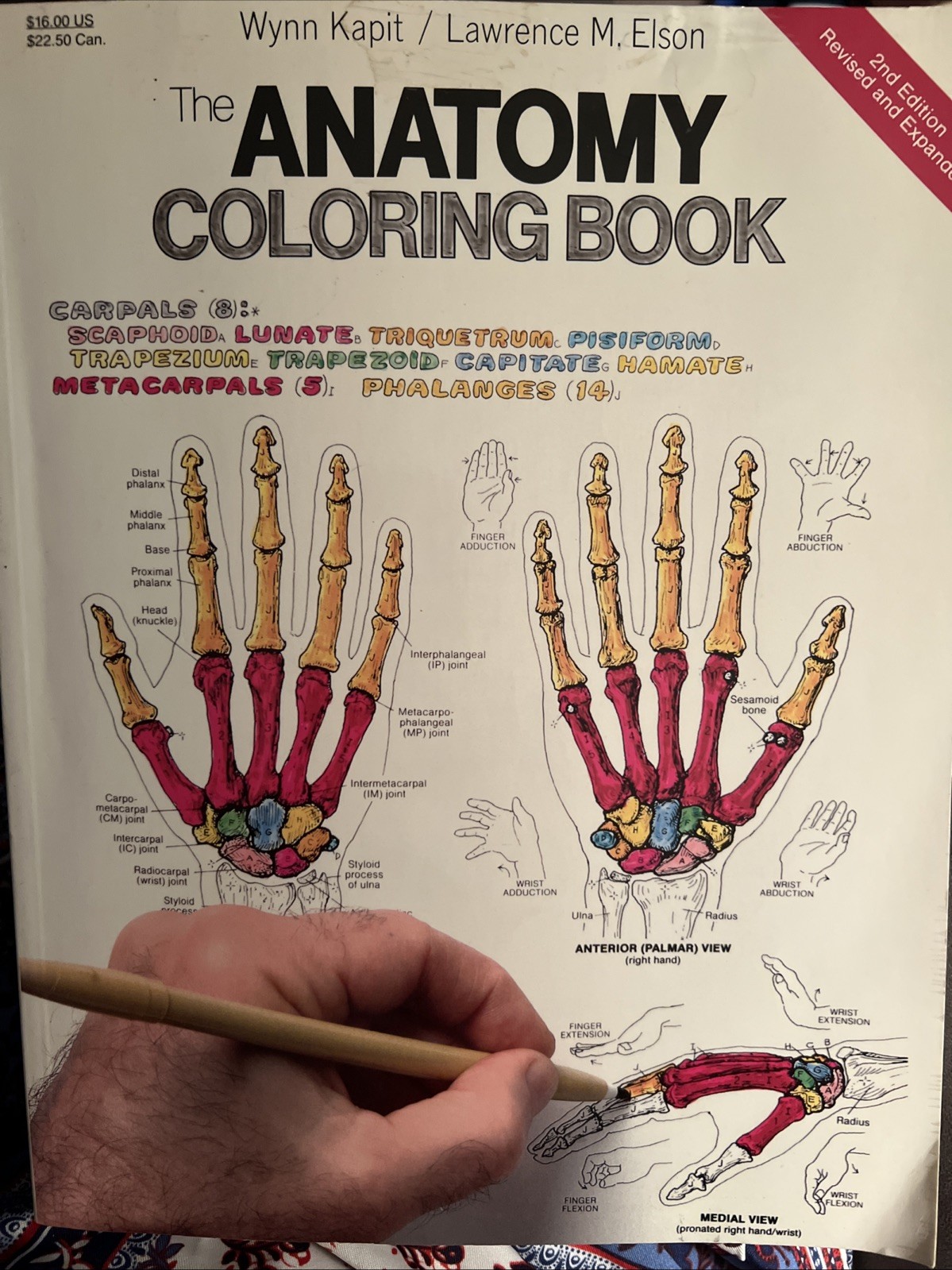 Lot of 2: The Anatomy (2nd Edition) & The Physiology Coloring Books