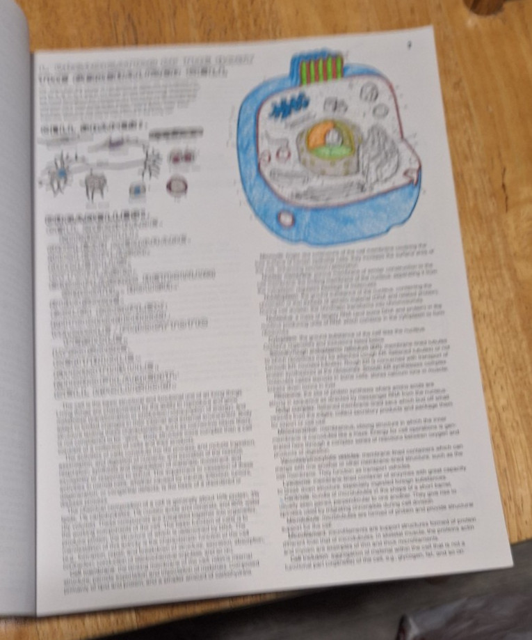 The Anatomy Coloring Book (2nd Edition), Kapit, Wynn; Elson, Lawrence M., Used;