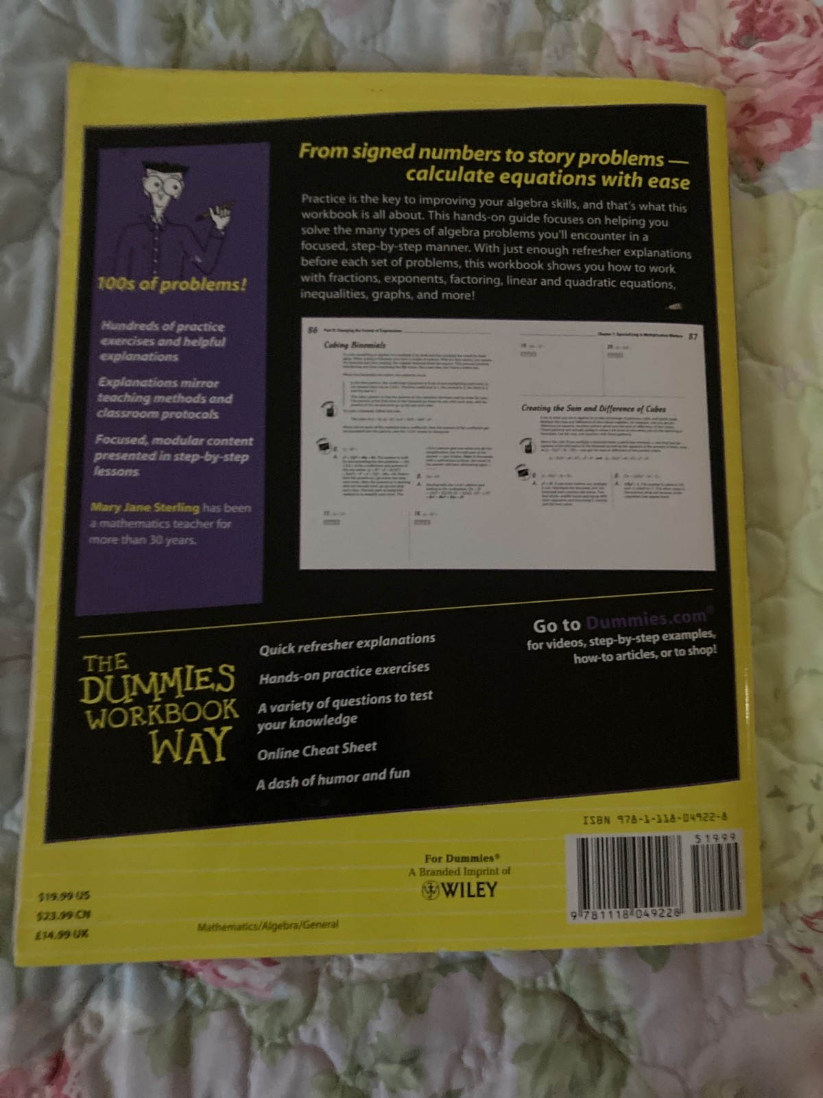 Algebra I for Dummies Book and Workbook 2nd Edition – used