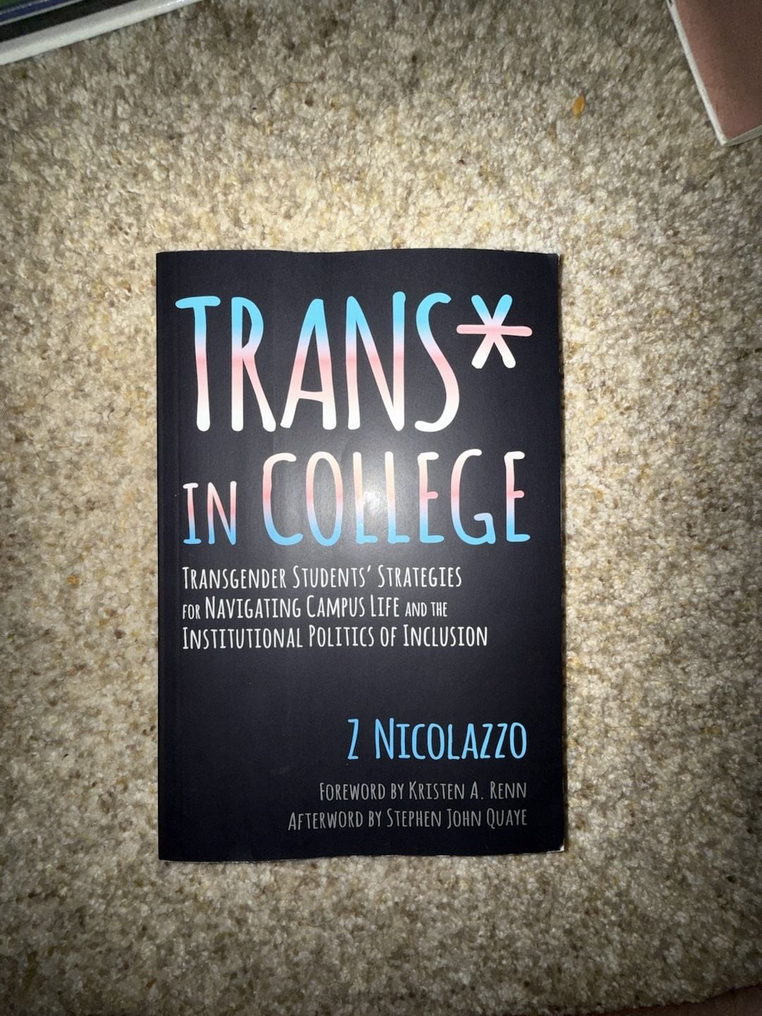 Trans in College: Trans Students‘ Strategies for Navigating Campus Life