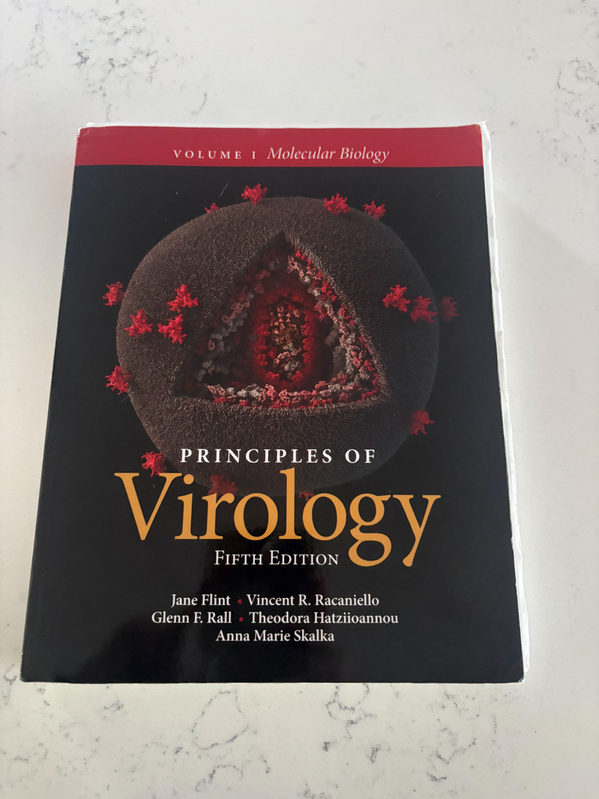 Principles of Virology, Volume 1 : Molecular Biology by Jane Flint, Vincent R..