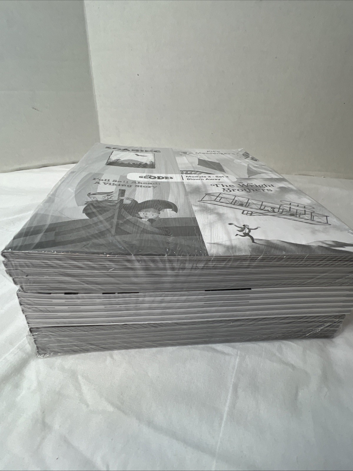 My Geodes Module 3 Sets 2, 3, & 4 Lot Of 3 Sealed Packs Of 5 (15 Books Total)
