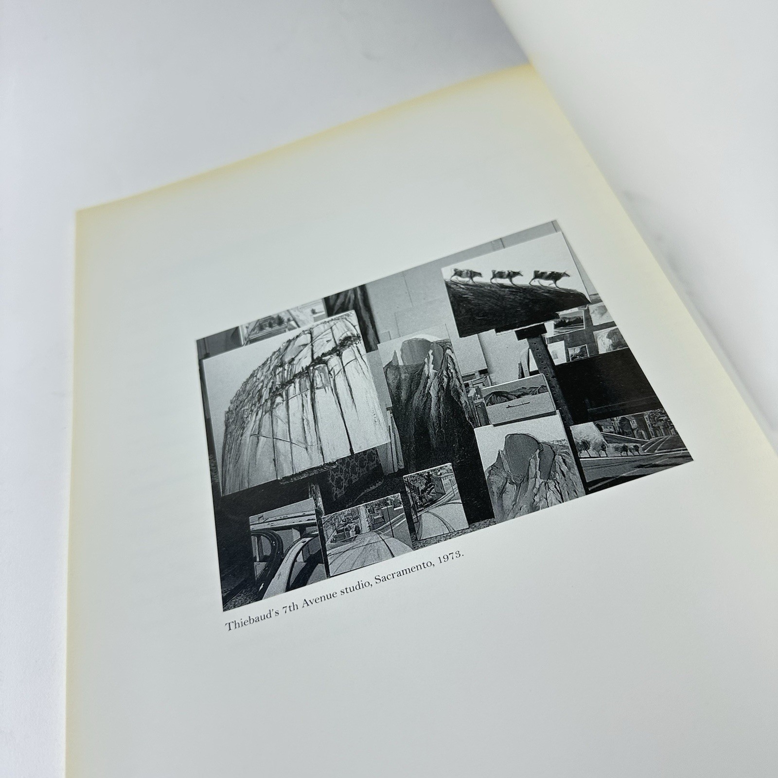 Thiebaud Selects Thiebaud Book 40 Year Survey Private Collections Crocker Art