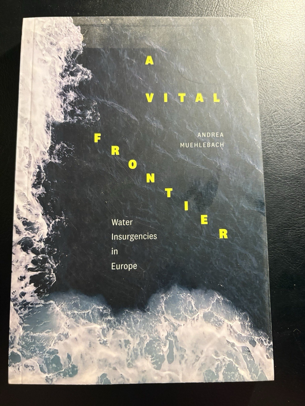 A Vital Frontier Andrea Muehlebach Duke UP 2023 Water Rights Insurgencies NC