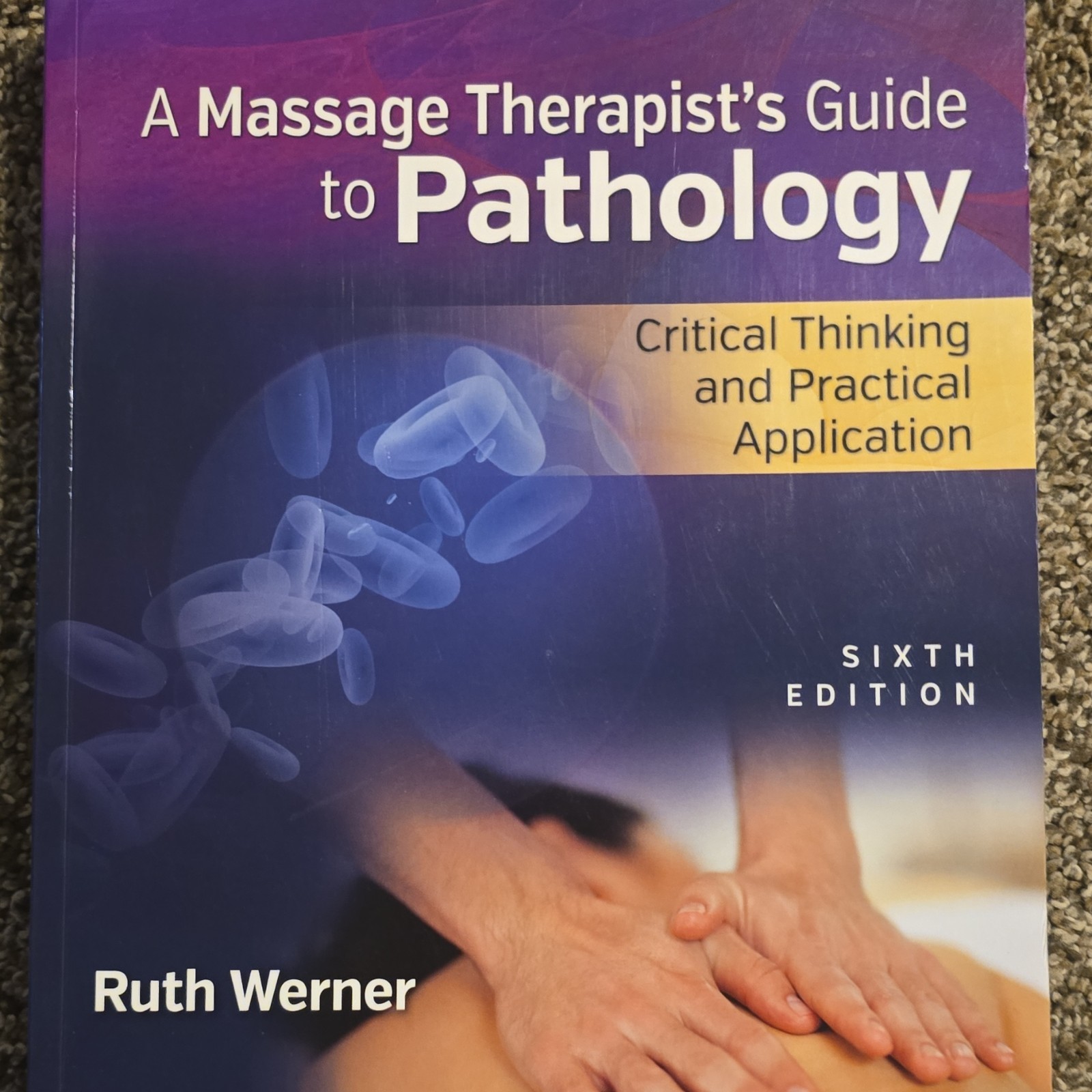 A Massage Therapist’s Guide to Pathology Ruth Werner Sixth Edition Paperback LWW