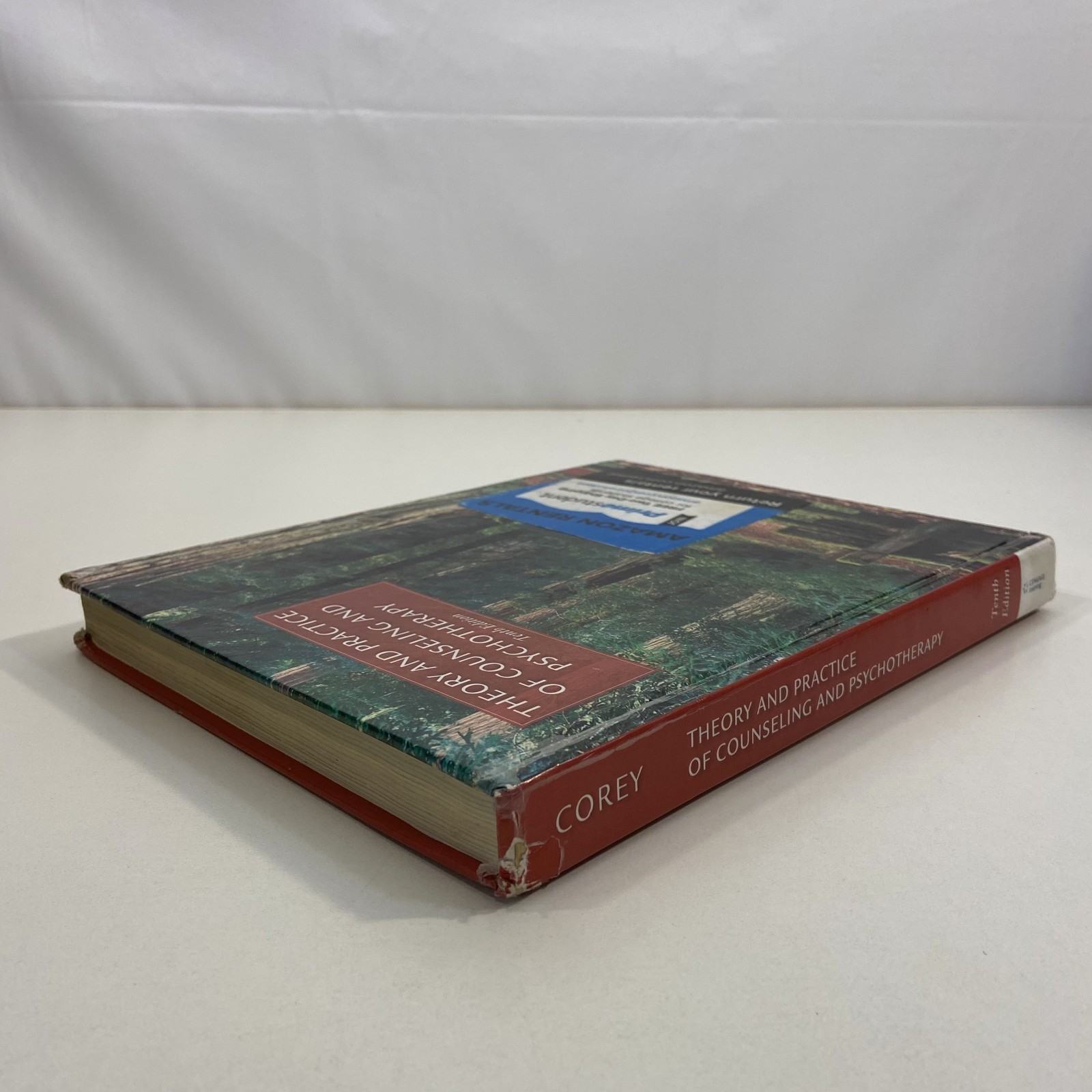 Theory & Practice of Counseling and Psychotherapy 10th Edition Gerald Corey HC