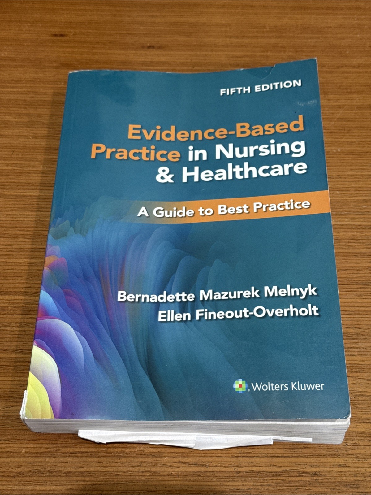 Evidence-based Practice in Nursing & Healthcare Paperback