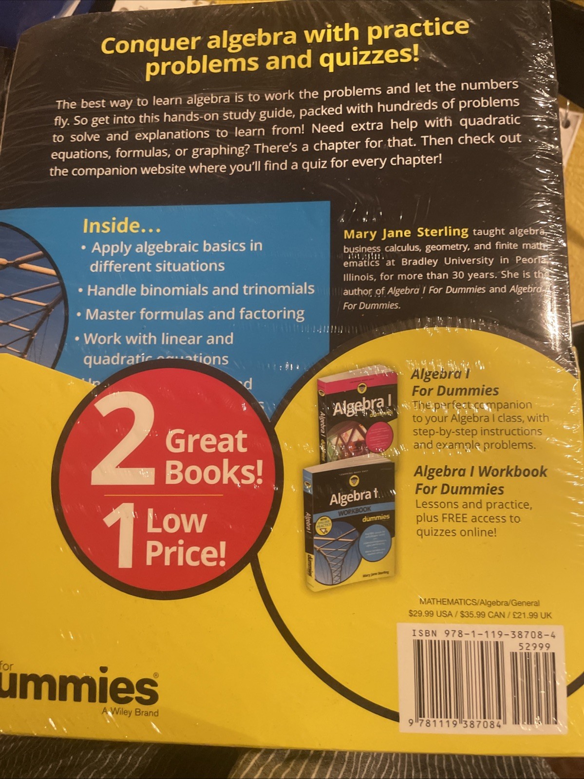 ALGEBRA 1 FOR DUMMIES AND ALGEBRA 1 WORKBOOK FOR DUMMIES BOOK SET