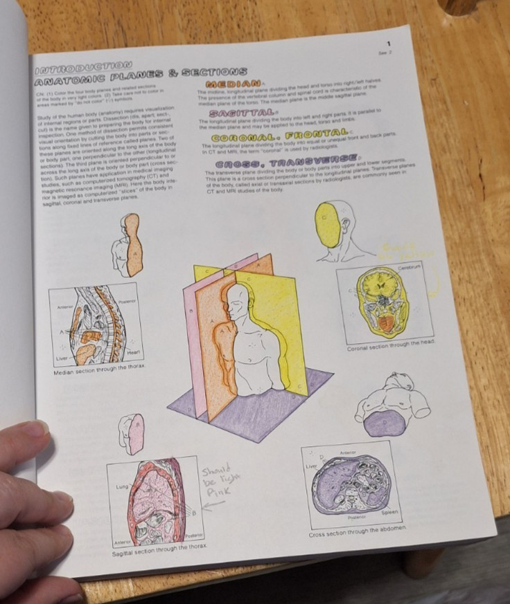 The Anatomy Coloring Book (2nd Edition), Kapit, Wynn; Elson, Lawrence M., Used;