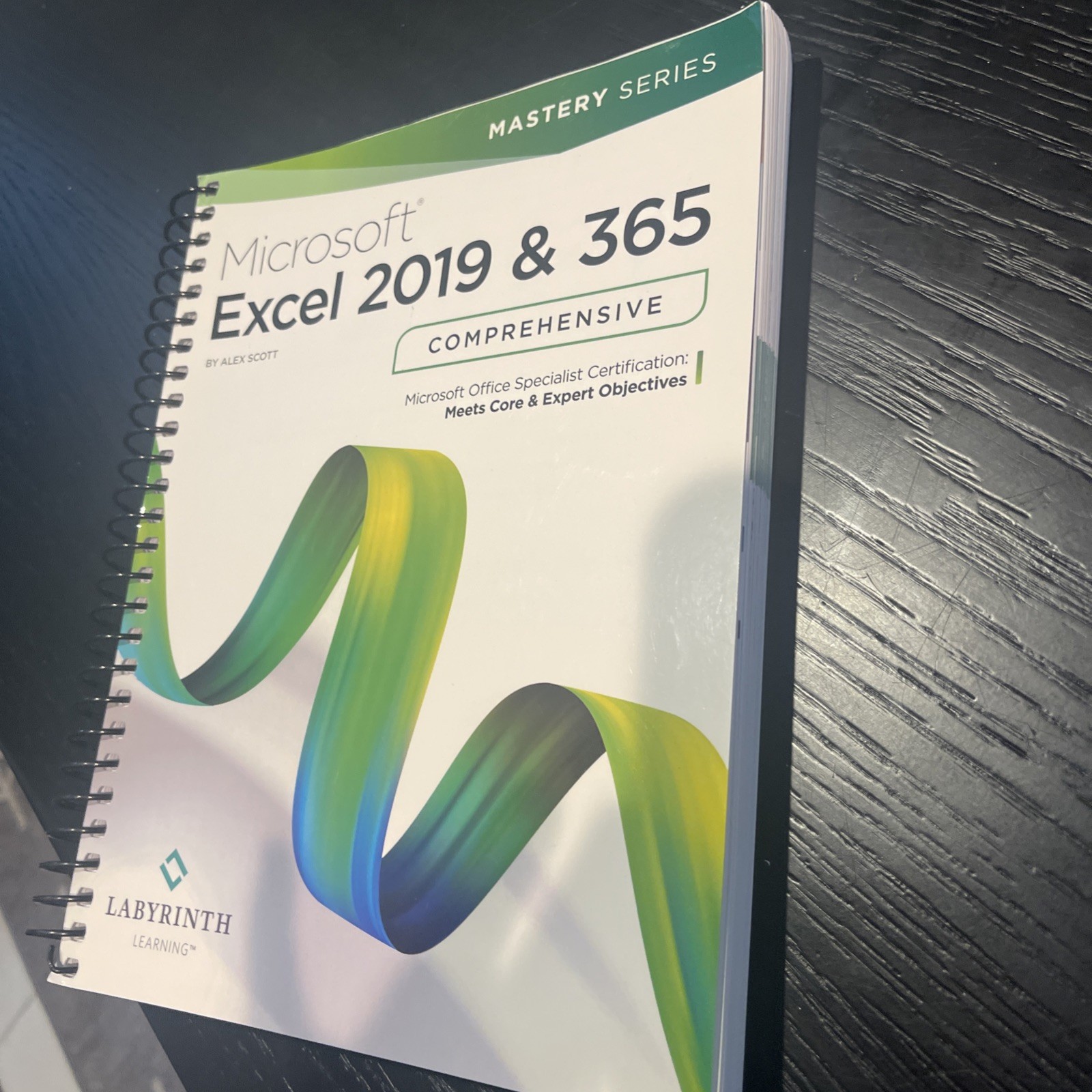 Microsoft Excel 2019 & 365 LABYRINTH Comprehensive Mastery Series New