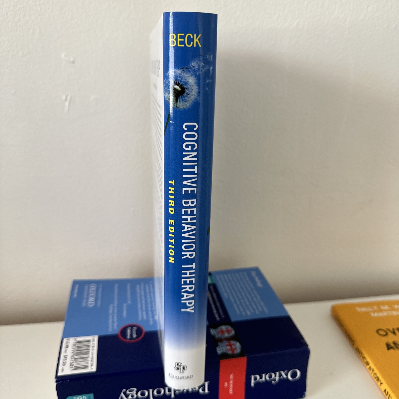 Cognitive Behavior Therapy : Basics and Beyond by Judith S. Beck (2020,…