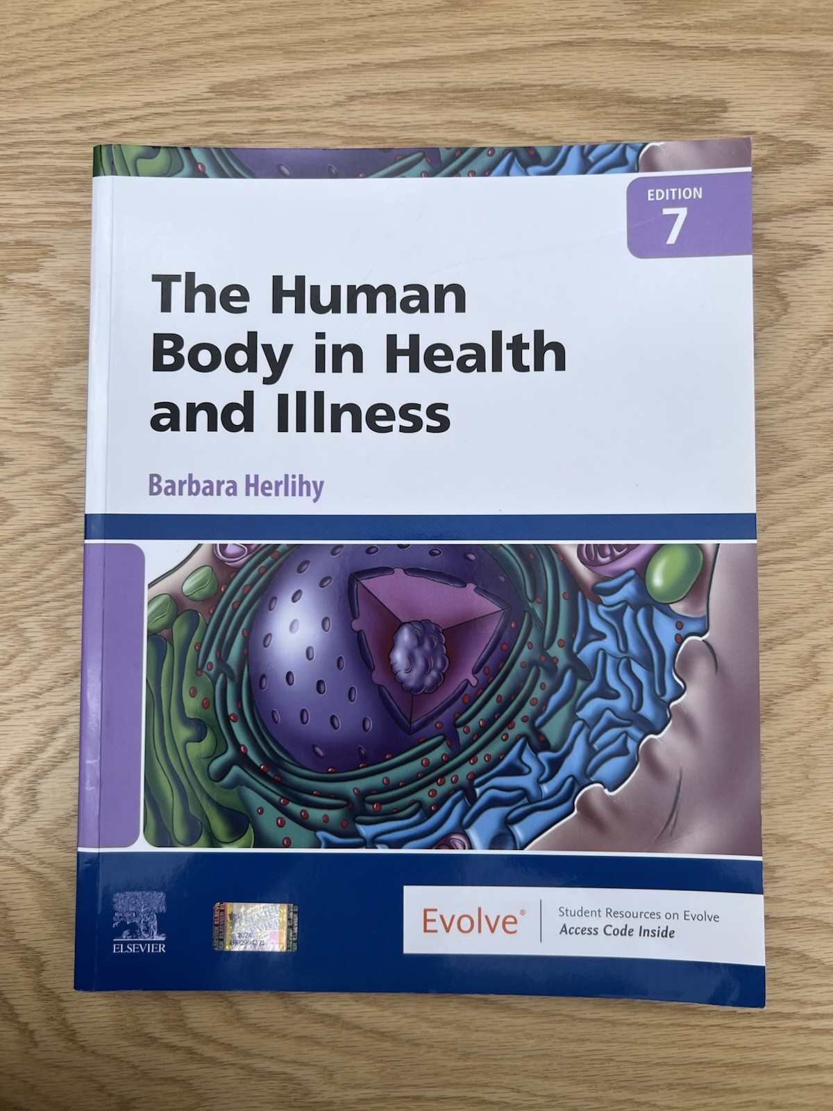 Human Body in Health and Illness by Barbara Herlihy (2021, Trade Paperback)