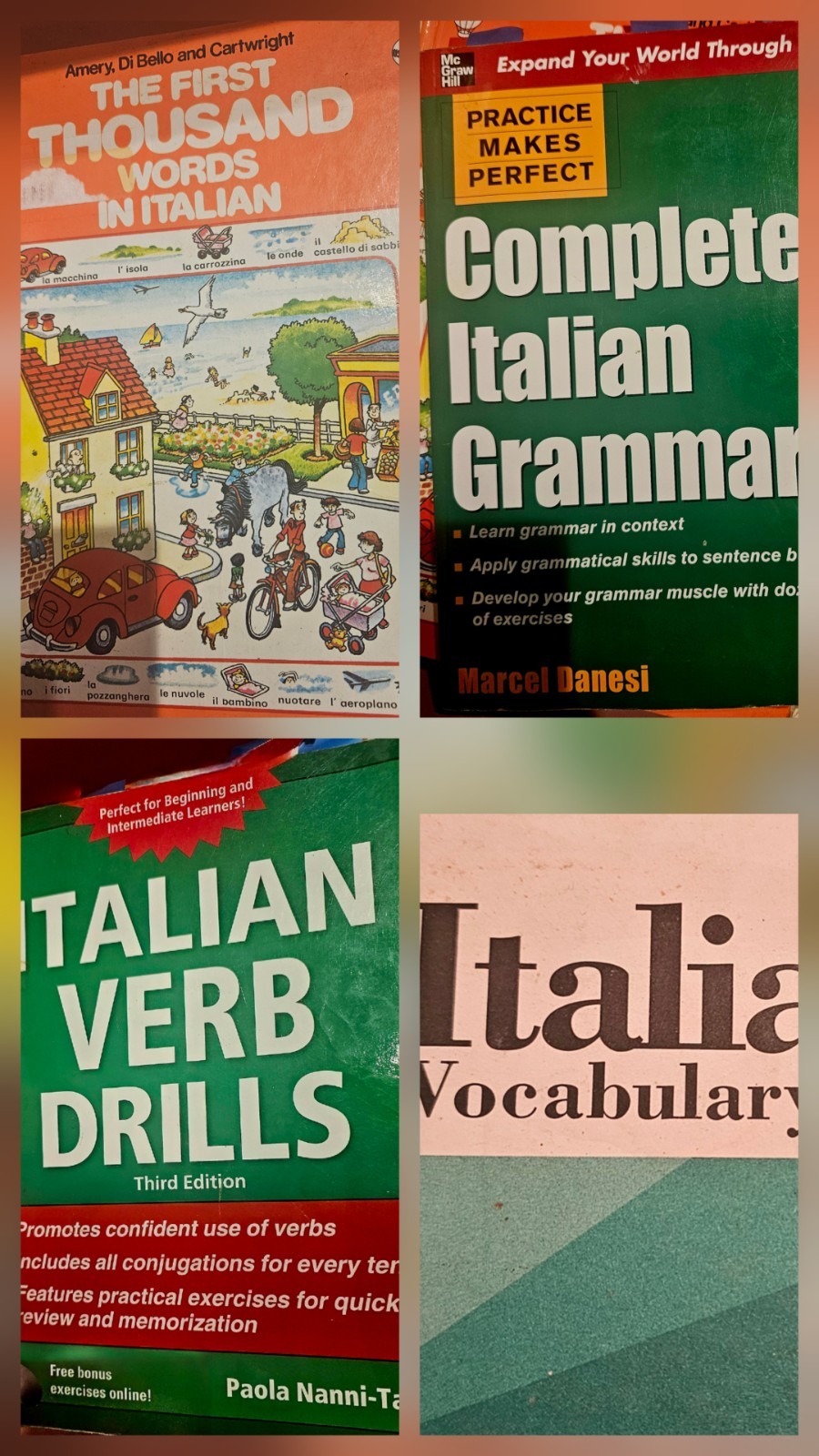 Beginner to Intermediate Italian Study Set – Practice Makes Perfect + Usborne