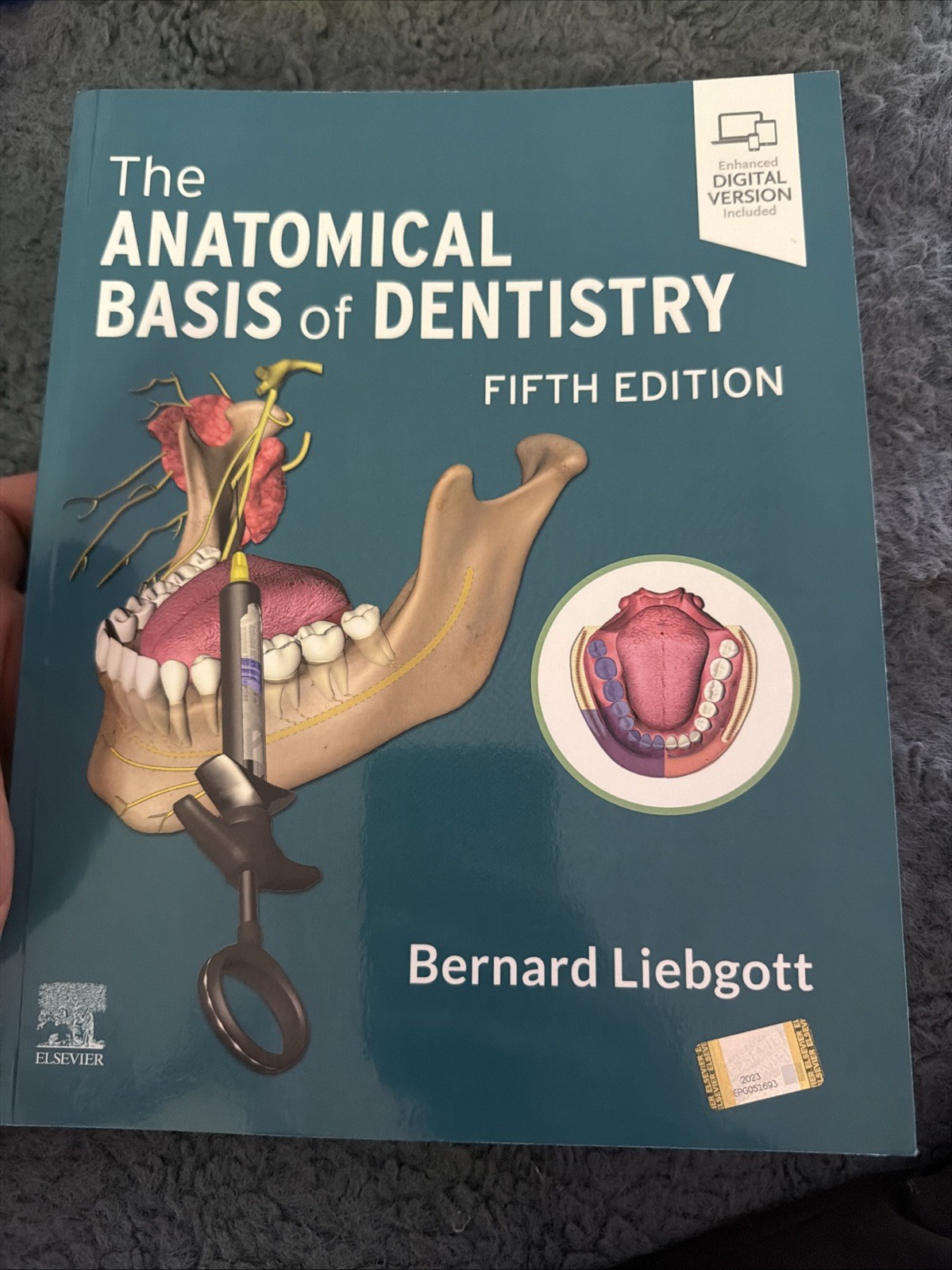 The Anatomical Basis of Dentistry Paperback C-11