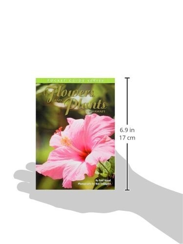 NEW!! Flowers and Plants of Hawaii: Pocket Guide by Paul Wood – Color Photos