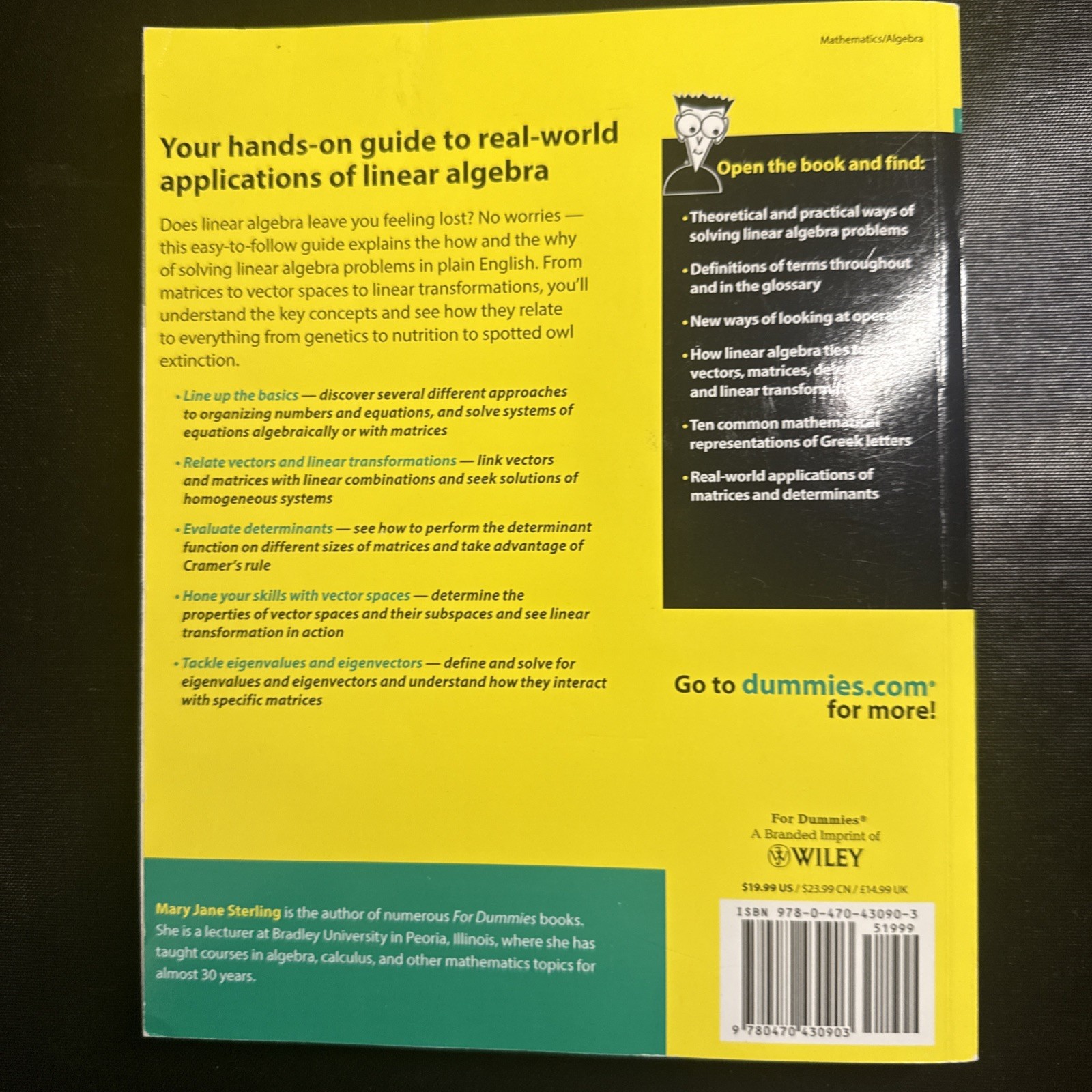 Linear Algebra for Dummies by Mary Jane Sterling (2009, Trade Paperback)