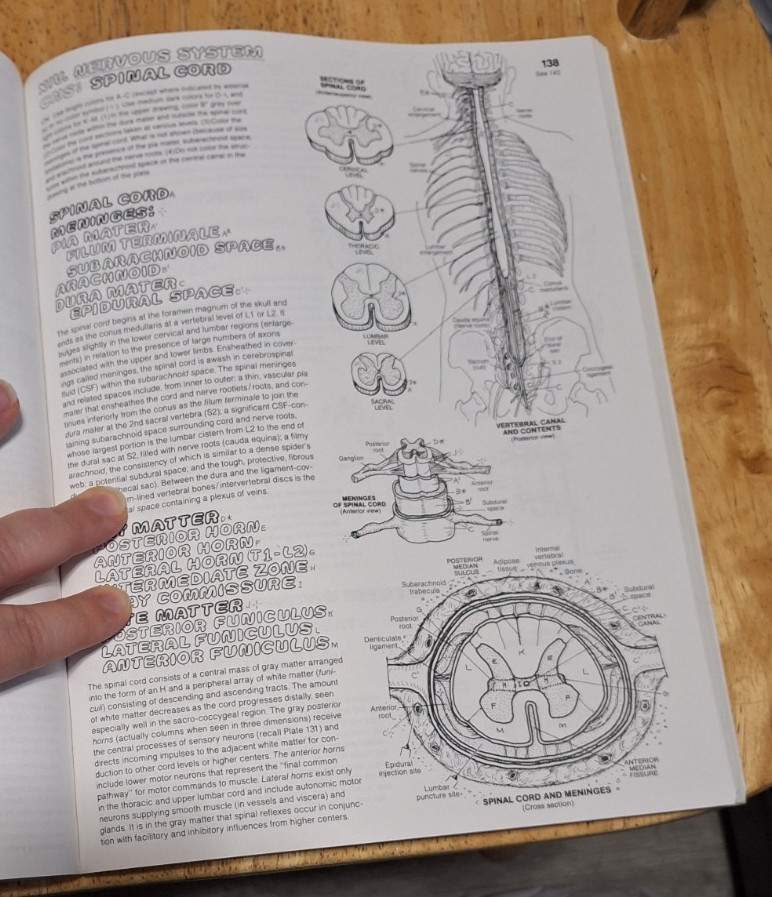 The Anatomy Coloring Book (2nd Edition), Kapit, Wynn; Elson, Lawrence M., Used;