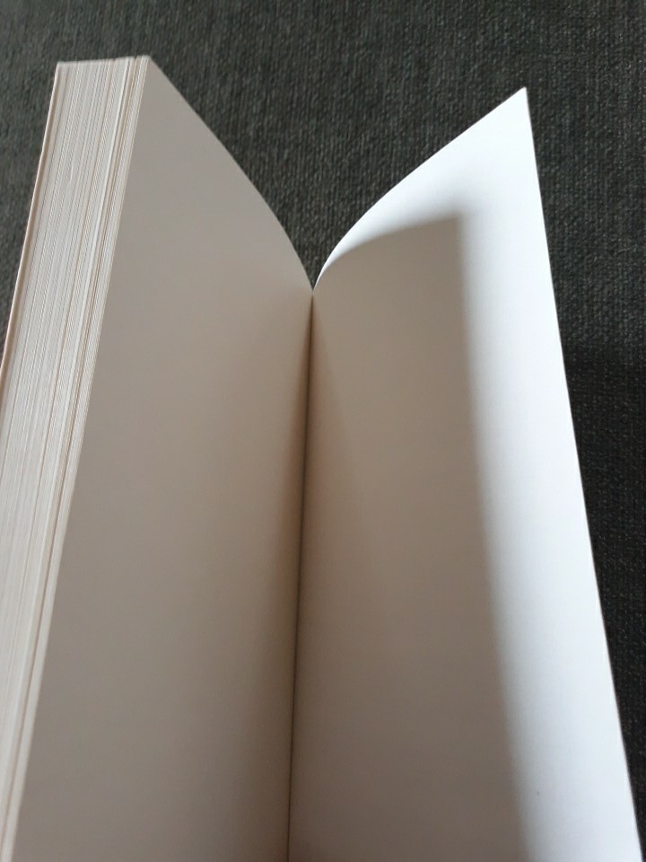 Approaches to Intentionality by William Lyons (1998, Uk-Trade Paper)