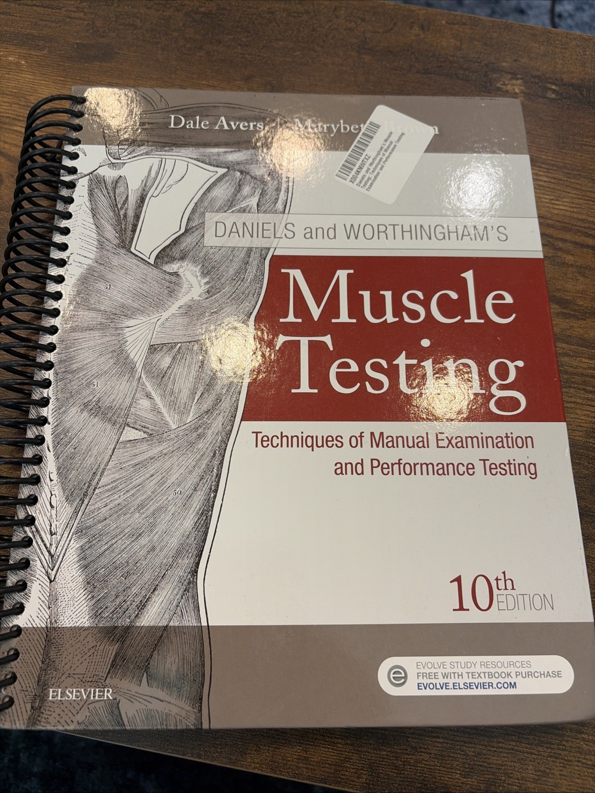 Muscle Testing : Techniques of Manual Examination and Performance Testing