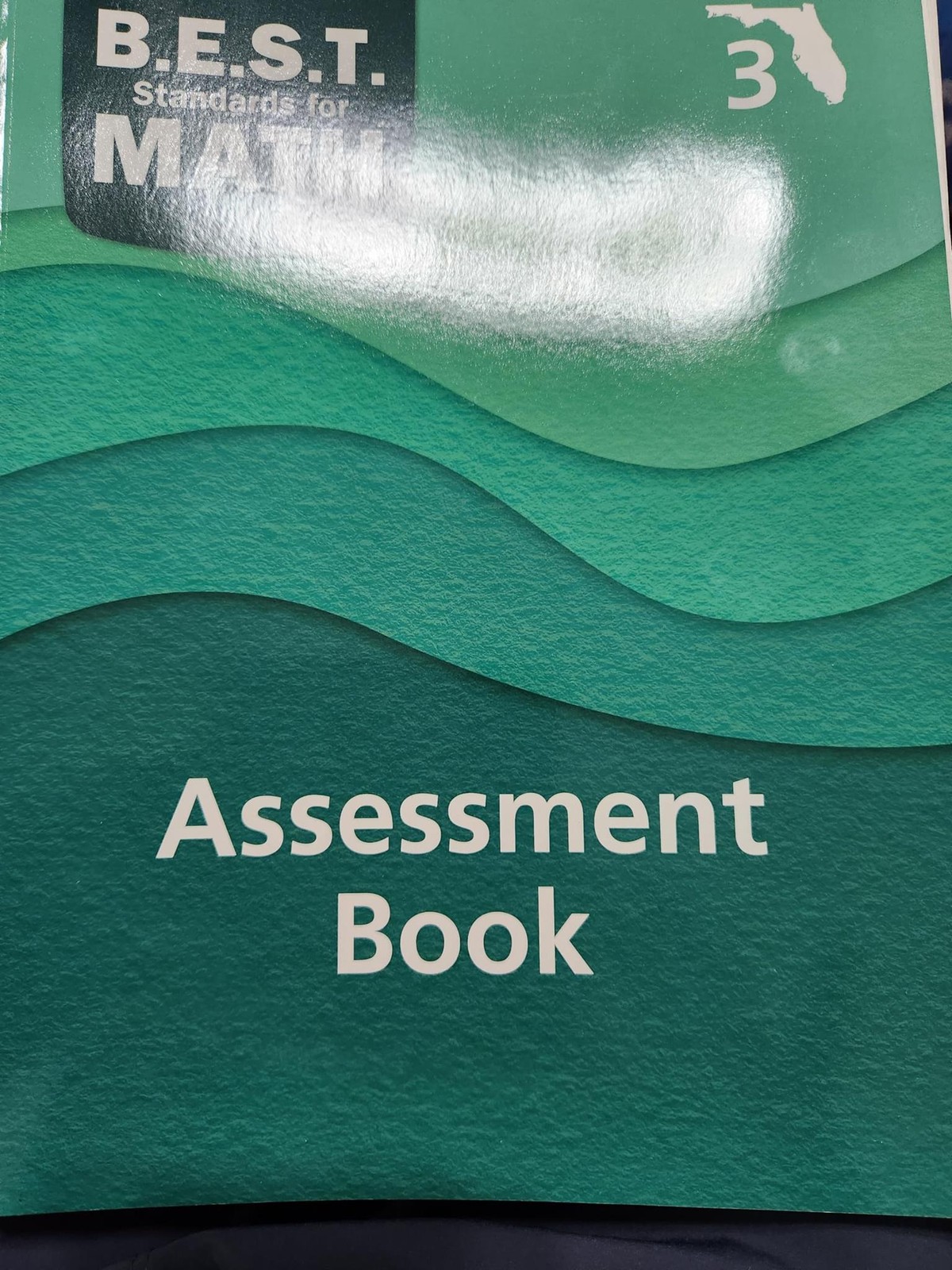 B.E.S.T Standards for Math Grade 3 Assessment Book Florida [Paperback] Ron Larso
