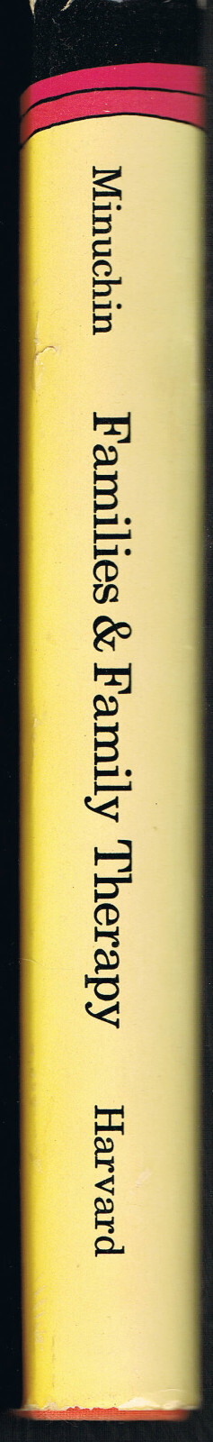 Families & Family Therapy hardcover Salvador Minuchin 1974 techniques Kibbutz