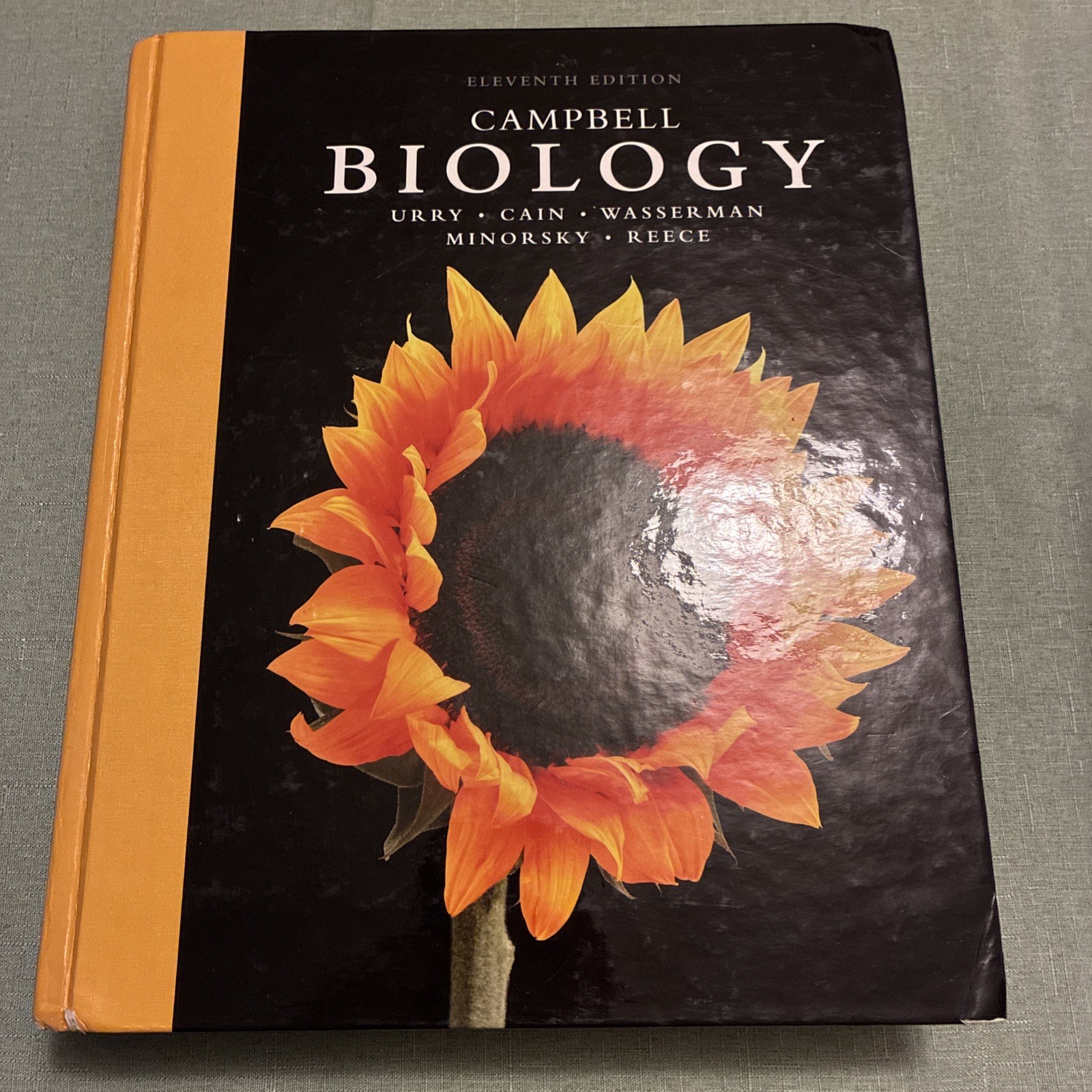 Campbell Biology Ser.: Campbell Biology by Lisa Urry, Steven Wasserman, Michael