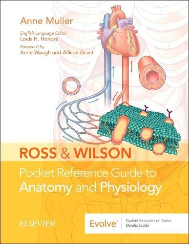Anne Muller Ross & Wilson Pocket Reference Guide to A (Spiral Bound) (UK IMPORT)
