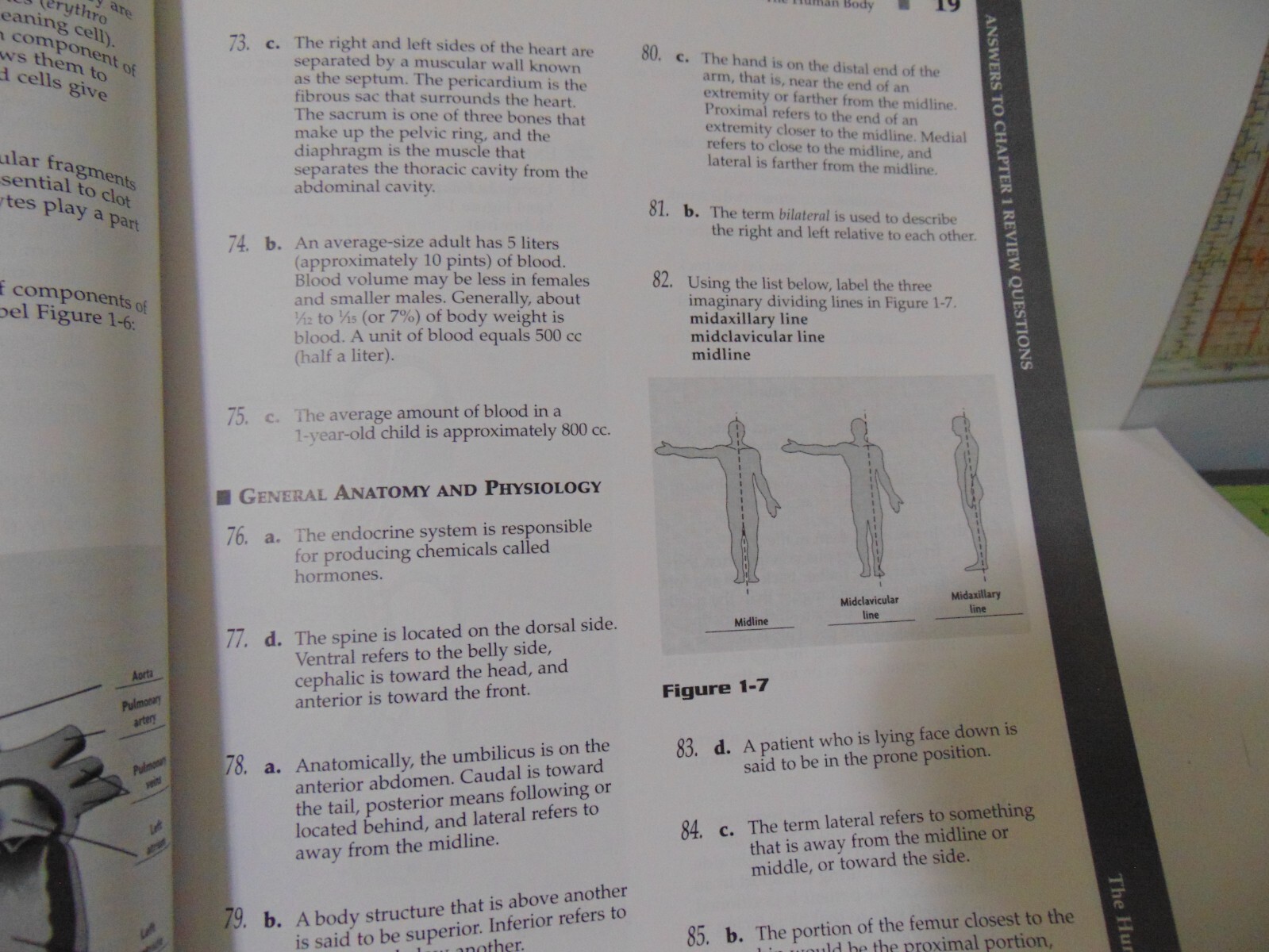 Mosby’s EMT-B Certification Preparation and Review Ser.: EMT-B Certification