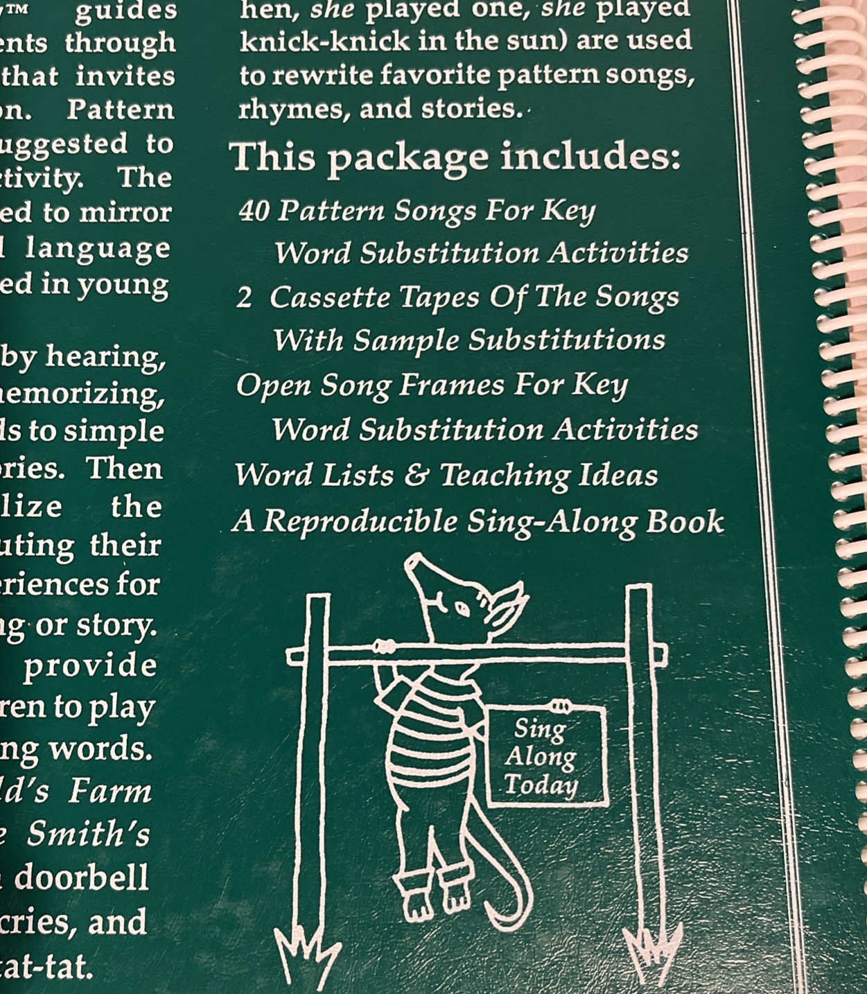 The Animated Literacy Pattern Reading & Singing Activities Book Jim Stone 1999