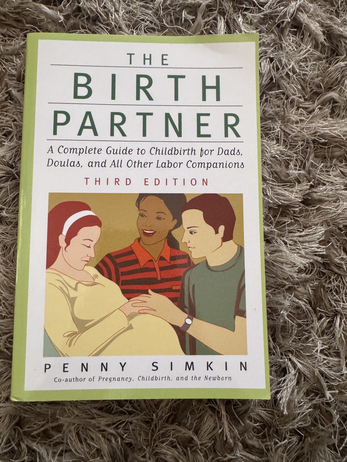 The Birth Partner Penny Simkin – Childbirth Guide for Partners – Brand New