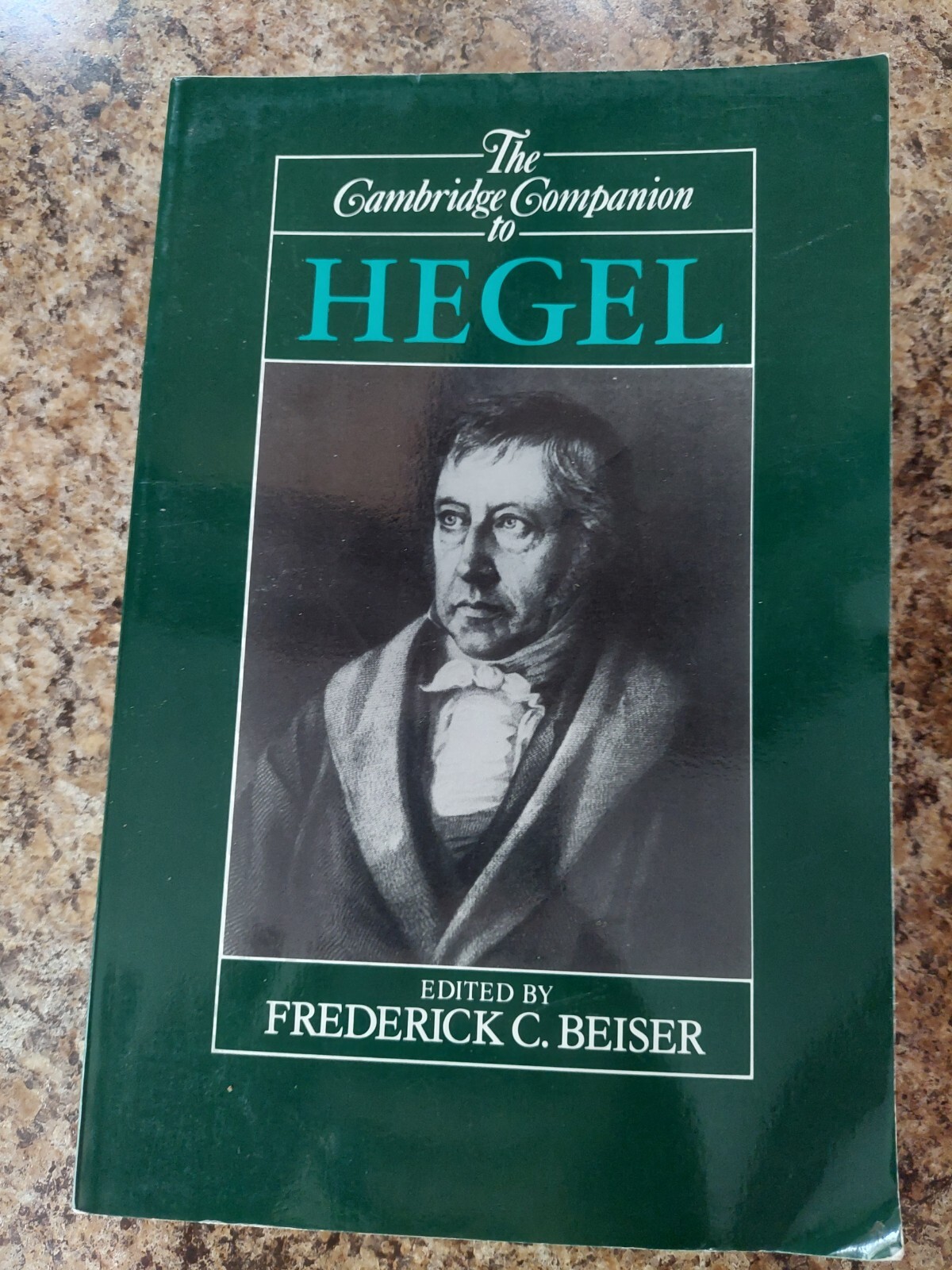 THE CAMBRIDGE COMPANION TO HEGEL By Frederick C. Beiser 518 Pages