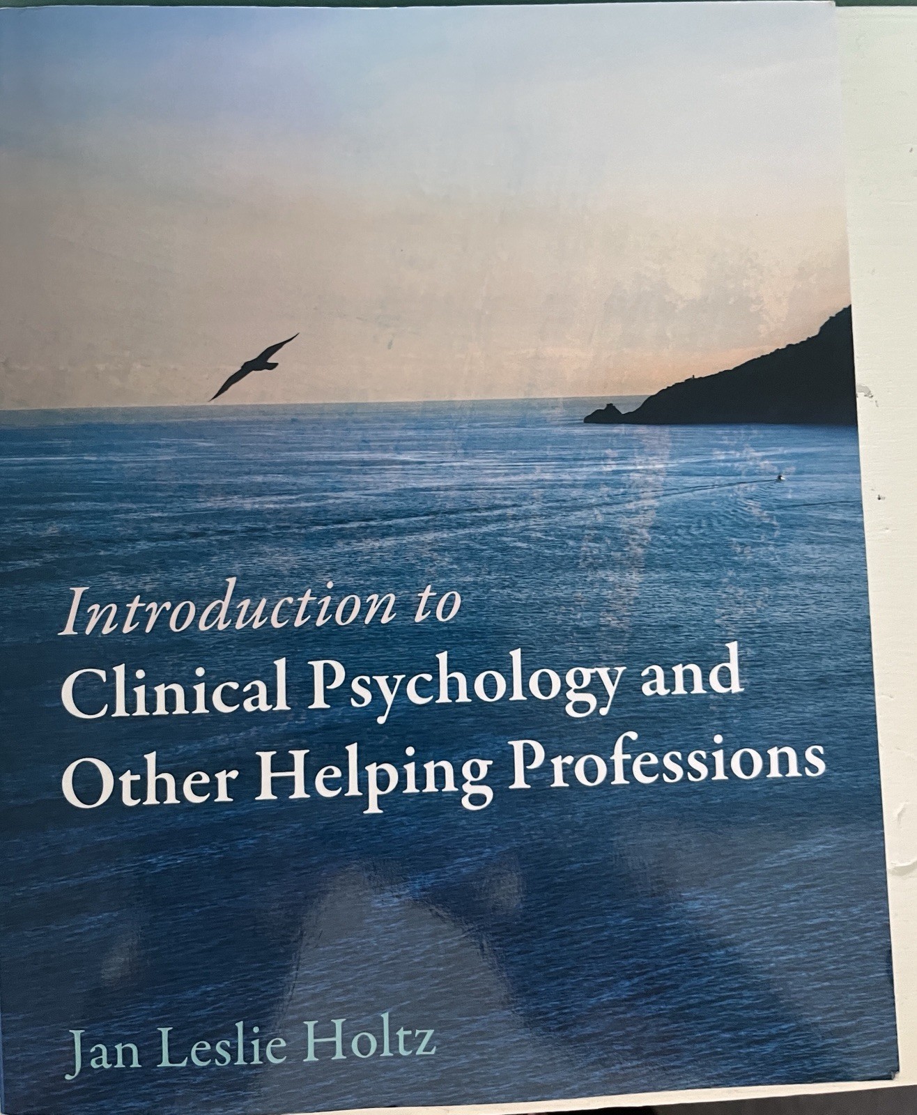 Introduction to Clinical Psychology and Other Helping Professions