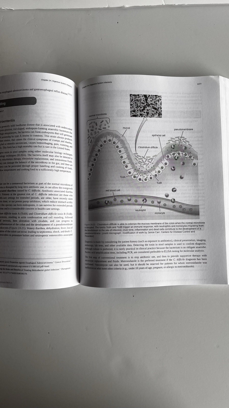 OpenStax Microbiology Hardcover Textbook Part 2 Only By ASM Press