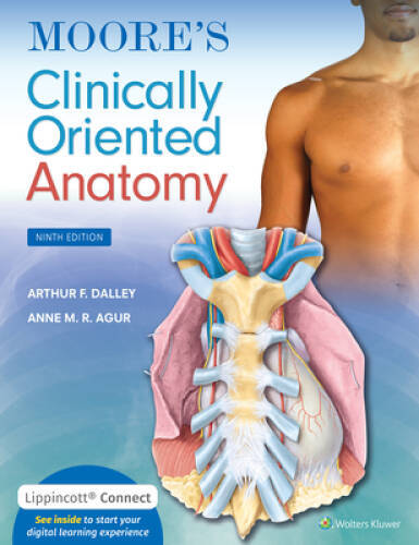 Moores Clinically Oriented Anatomy – Paperback – VERY GOOD