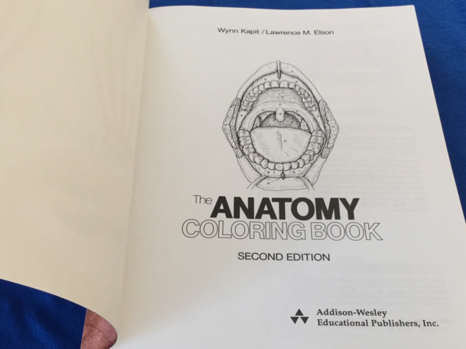 The ANATOMY Coloring Book 2nd Edition Revised & Expanded 1993 Kapit/Elson
