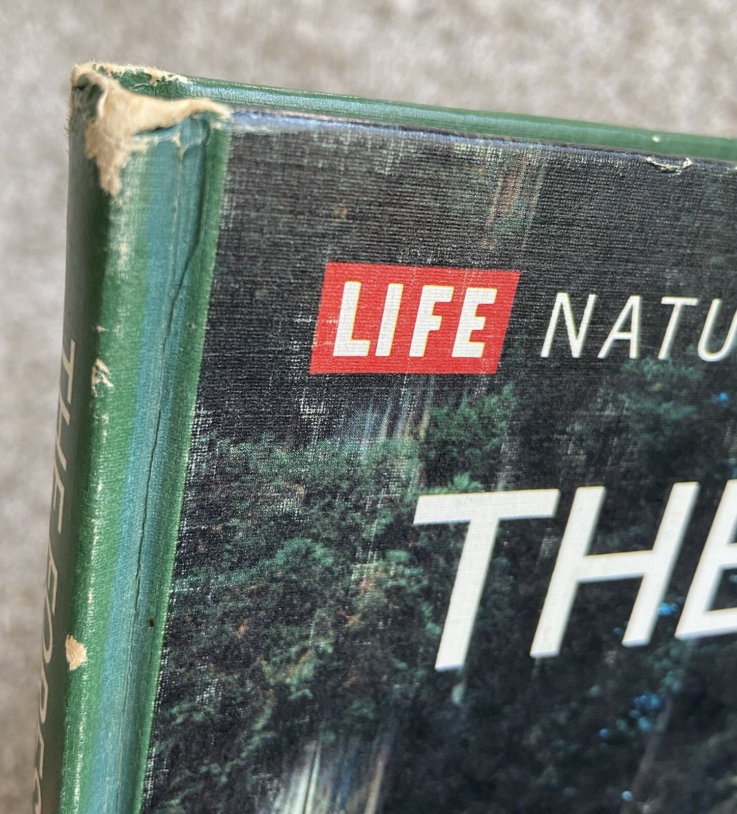 Time Life Books Science Library Series The Forest Vintage Learning 1971 📕