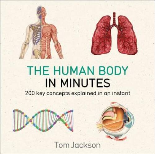 The Human Body in Minutes – VERY GOOD