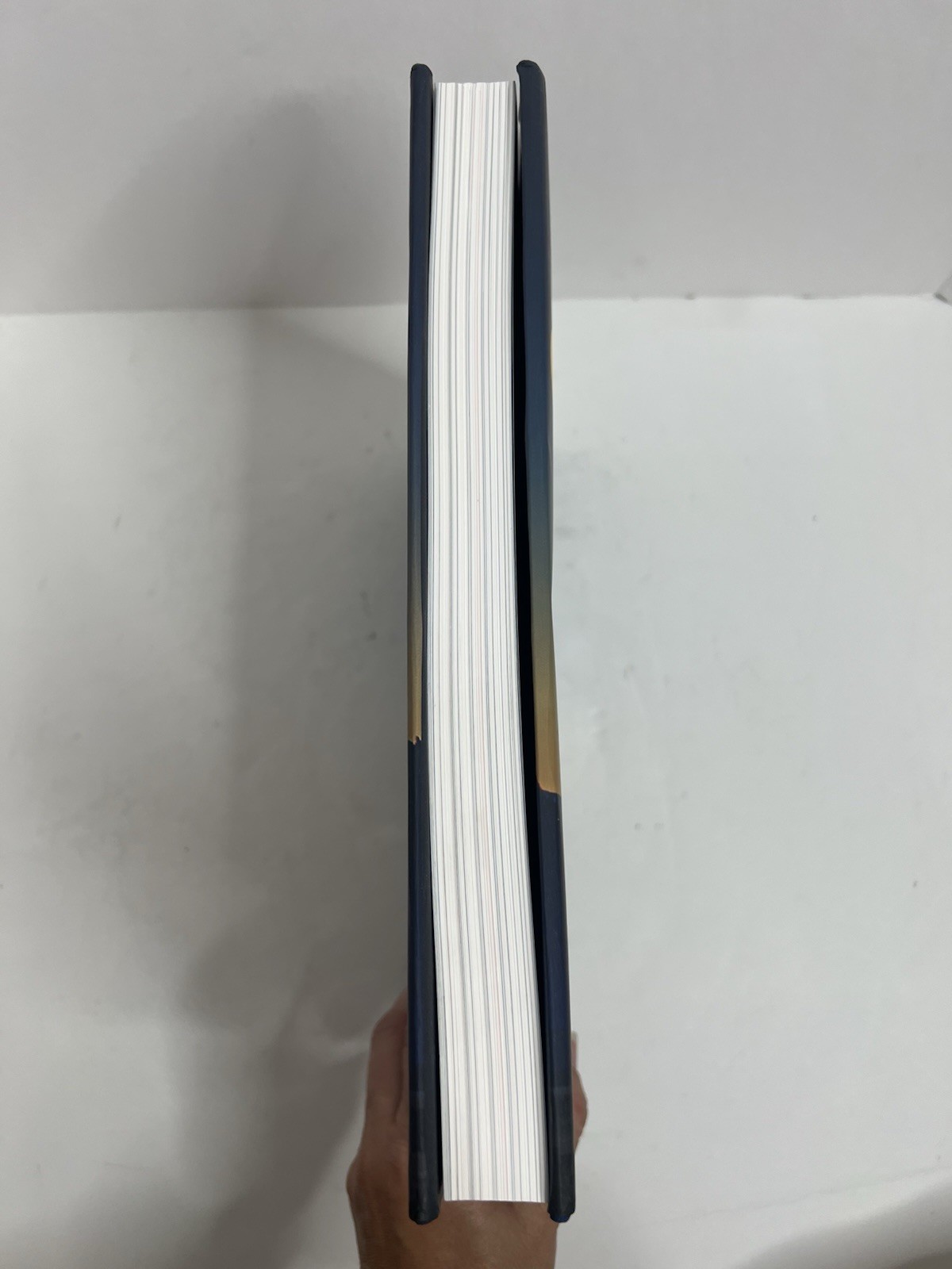 DIVIDED LIGHT – Hardcover + Dust Jacket 1st Print April 2020 Daniel James Alpert