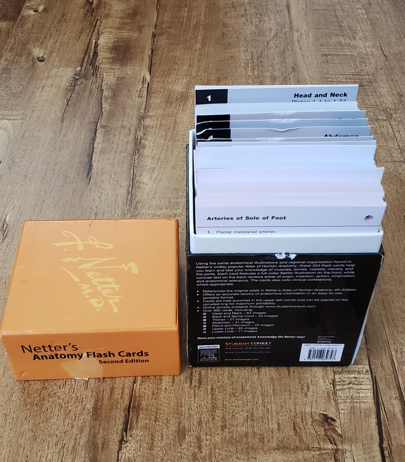NETTER’S ANATOMY Flash Cards Second Edition By John T. Hansen